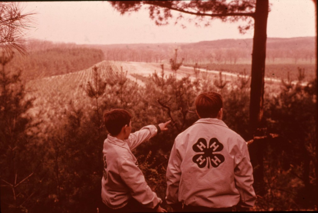 4-h field