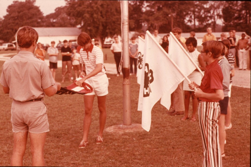 flags